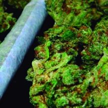 Los nuevos usos medicinales del cannabis han hecho crecer su popularidad