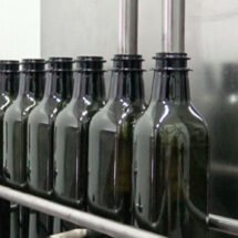 Envasado de aceite de oliva de Jaén