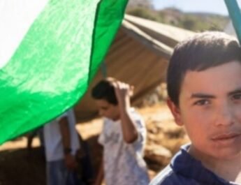 Niño con la bandera de Palestina