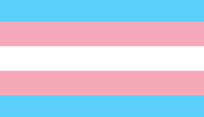 Bandera cuyas franjas horizontales de arriba a abajo siguen el patrón: azul celeste, rosa blanco, rosa y azul celeste