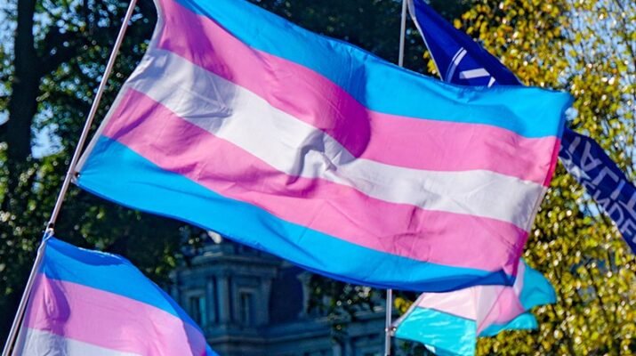 Bandera del orgullo trans. Los colores son azul, rosa, blanco, rosa y azul en franjas horizontales.