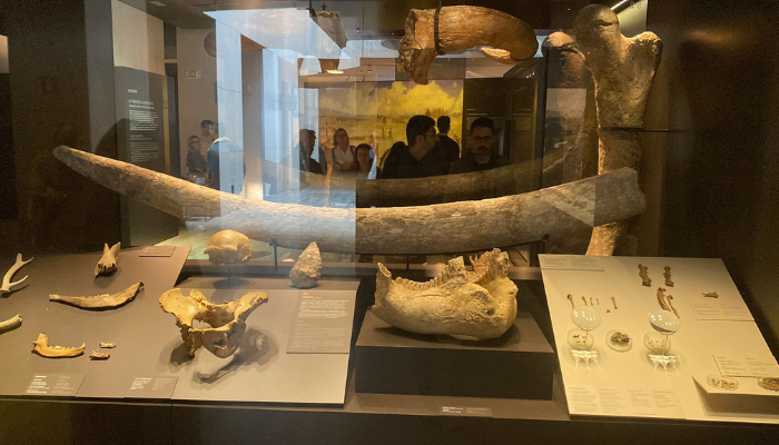 Fotografías que crean un recorrido de lo que se encuentra en el museo
