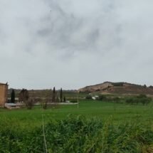 En la imagen podemos encontrar un campo localizado cerca del centro de la localidad de Bonilla