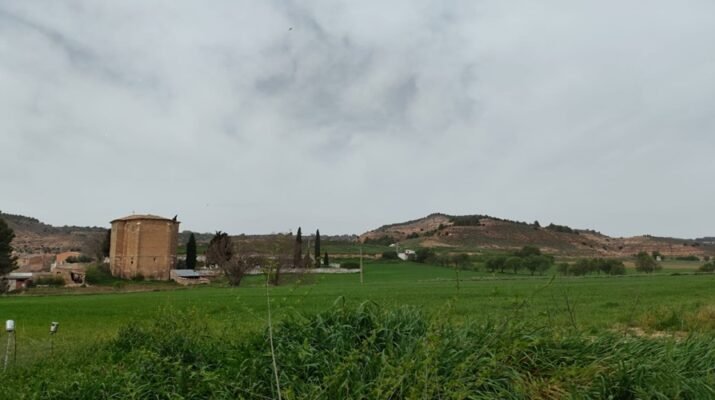 En la imagen podemos encontrar un campo localizado cerca del centro de la localidad de Bonilla