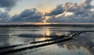 Entre el agua y el grano: la modernización del cultivo del arroz en Sueca