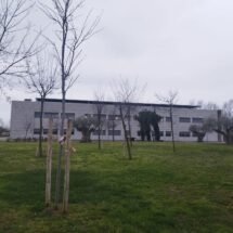 La imagen muestra un plano opanorámico del campus de Feunlabrada. Hay césped colorido y alho húmedo, un edificio grisáceo y rectángular frente el objetivo y varios árboles esbeltos a lo largo del plano. Asimismo el cielo está completamente encapotado.