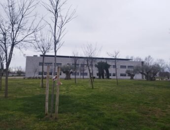 La imagen muestra un plano opanorámico del campus de Feunlabrada. Hay césped colorido y alho húmedo, un edificio grisáceo y rectángular frente el objetivo y varios árboles esbeltos a lo largo del plano. Asimismo el cielo está completamente encapotado.
