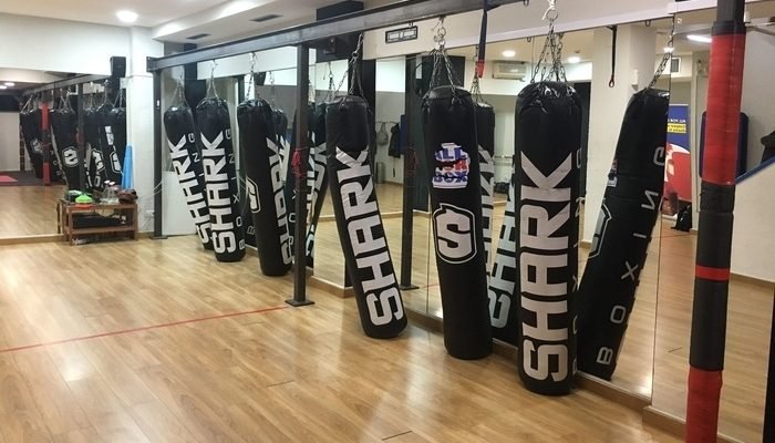 Gimnasio de boxeo iluminado con luz blanca donde se encuentran varios sacos de boxeo de color negro con letras blancas y en la parte de atrás hay unos espejos donde se puede reflejar el espacioso salón .